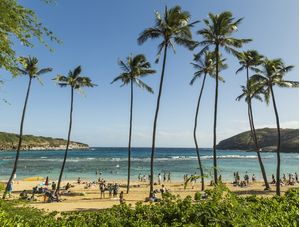 RECOMPENSA (OAHU, HAWAII)