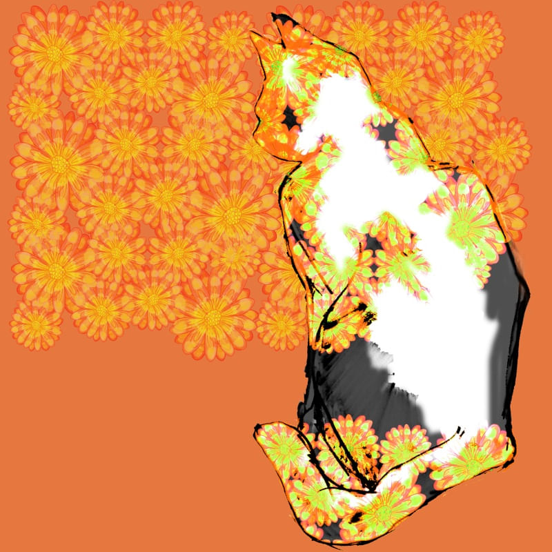 GATO FLORES LARANJA