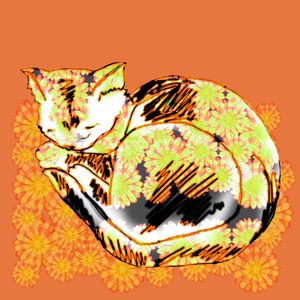 GATO FLORES LARANJA 2