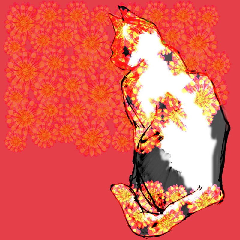 GATO FLORES ROSA
