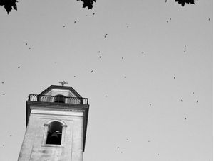 PASSARINHOS E IGREJA