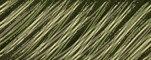NATUREZA COR 060 LV