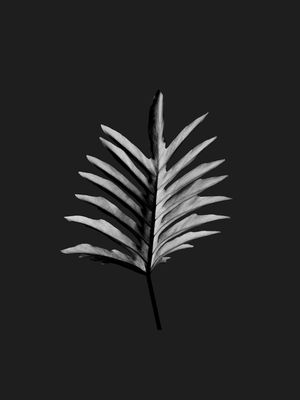 NATUREZA PB 009 LV