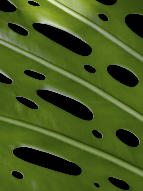 NATUREZA COR 049 LV