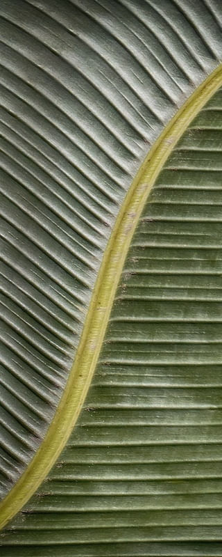 NATUREZA COR 051 LV