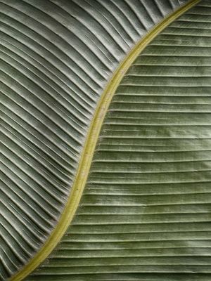NATUREZA COR 052 LV
