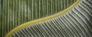 NATUREZA COR 053 LV