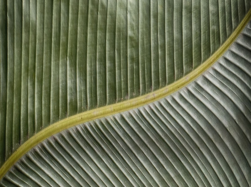 NATUREZA COR 054 LV