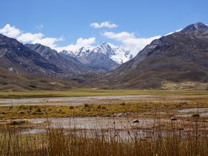 PERU