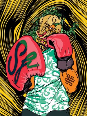 BOXEADOR MASCARADO