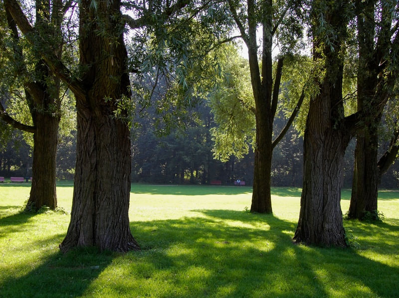 PARQUE EM DEVENTER