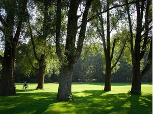 DEVENTER PARQUE
