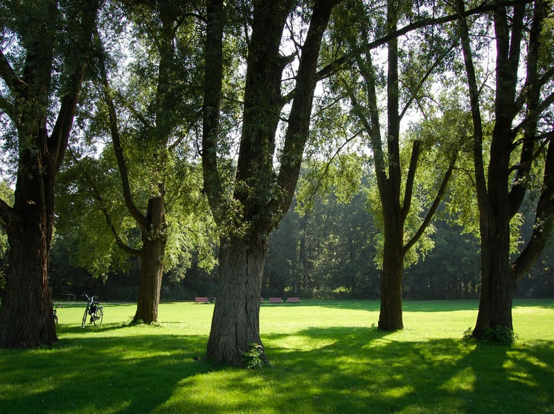 DEVENTER PARQUE