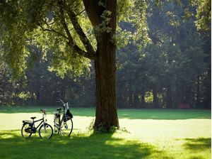 BICICLETAS NO PARQUE