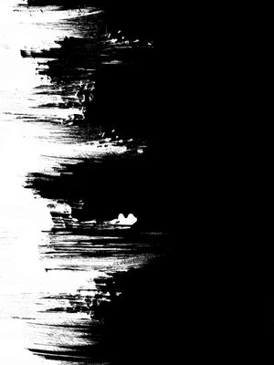 GEOMETRIC DUALITY BLACK & WHITE