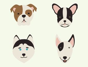 FLUFFY DOGS