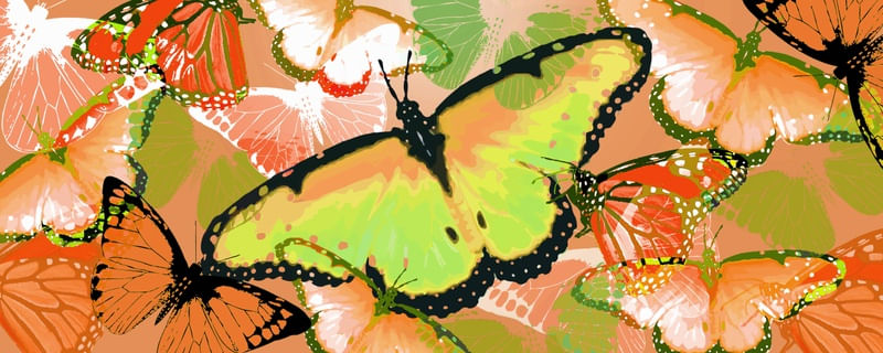 BORBOLETA AMARELO LARANJA