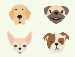 FLUFFY DOGS 2