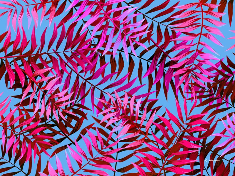 TROPICAL VERMELHO E AZUL