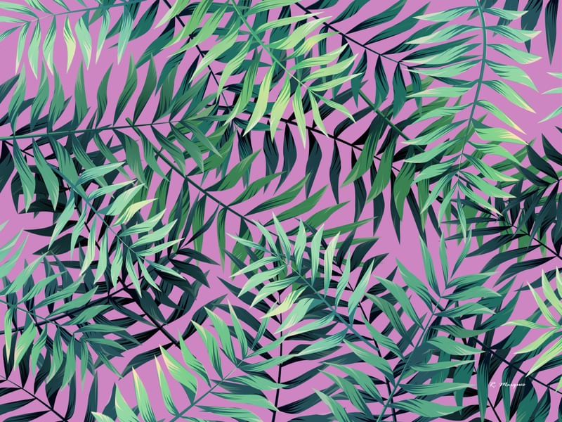 TROPICAL VERDE E PINK