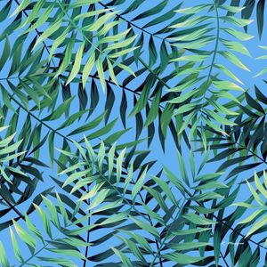 TROPICAL VERDE E AZUL