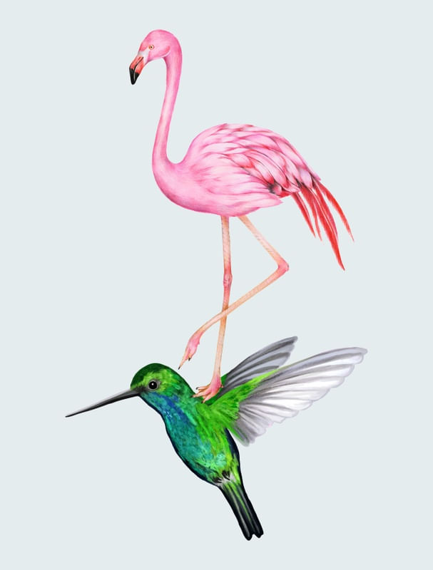 THE HUMMINGBIRD AND THE FLAMINGO