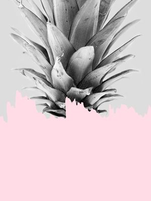 ABACAXI E ROSA I