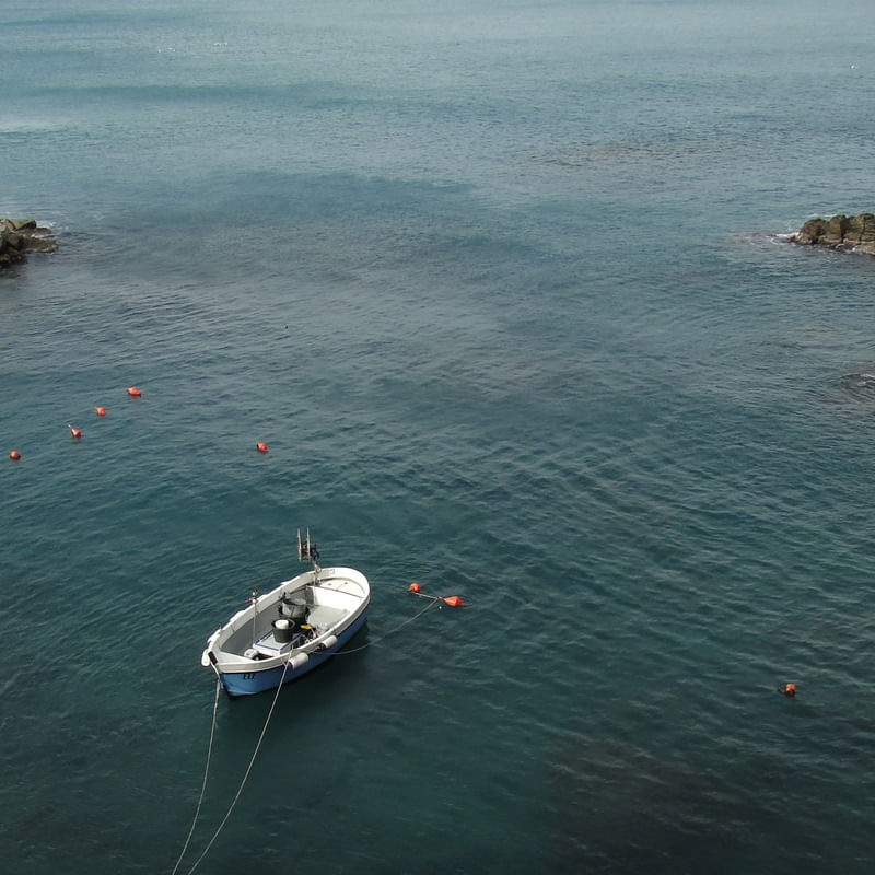 LA BARCA