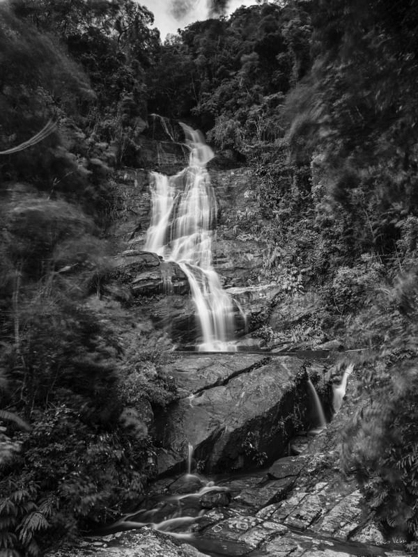 VENTANIA NA FLORESTA 2