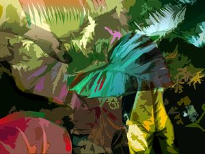 MONSTERA DELICIOSA 07(USE ESTA)