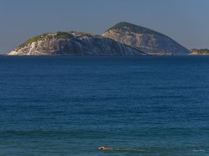 COISAS DO RIO: NATAÇÃO
