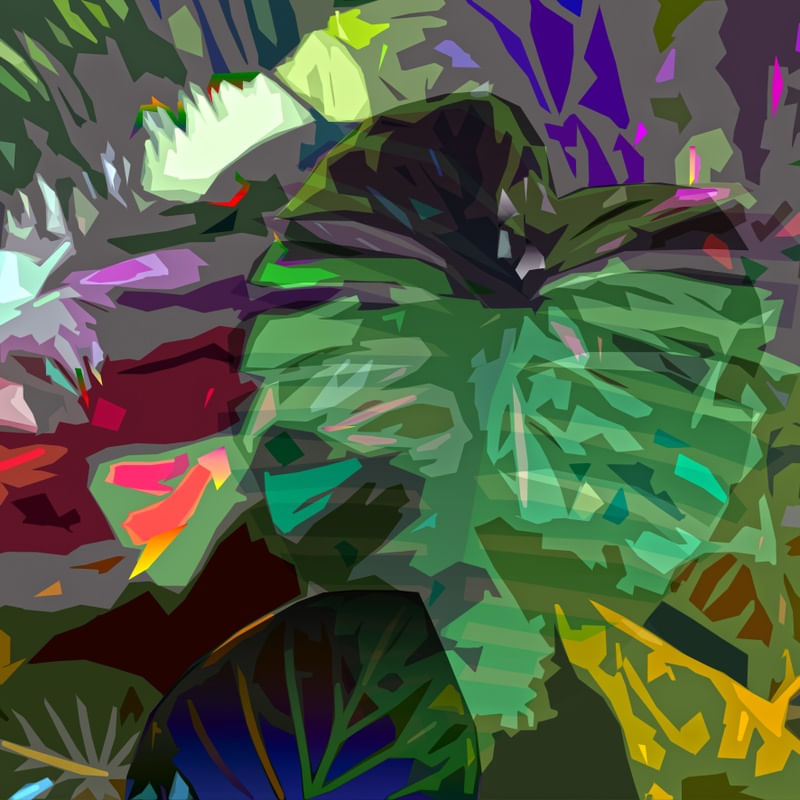 MONSTERA DELICIOSA 01