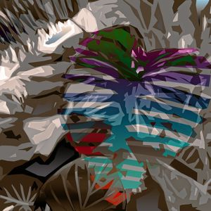 MONSTERA DELICIOSA 03