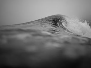 GRACE WAVE