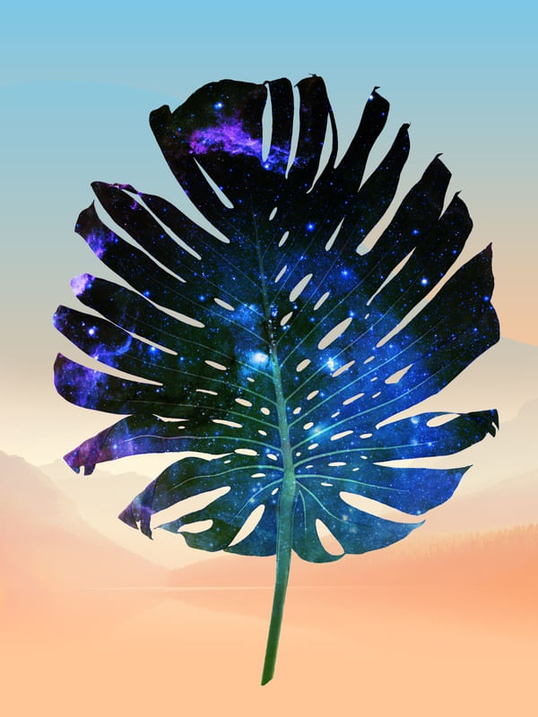 GLIESE 581 C BOTANICAL