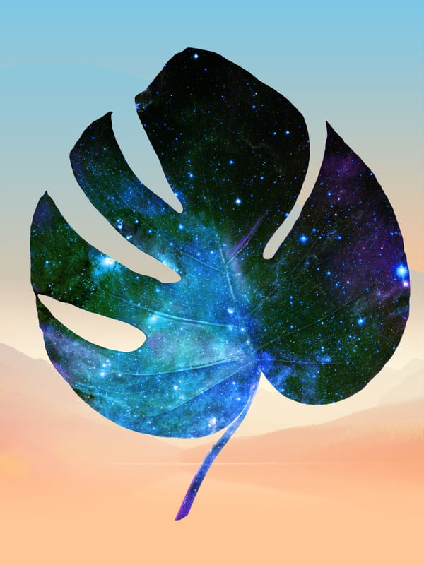 GLIESE 581 C BOTANICAL II