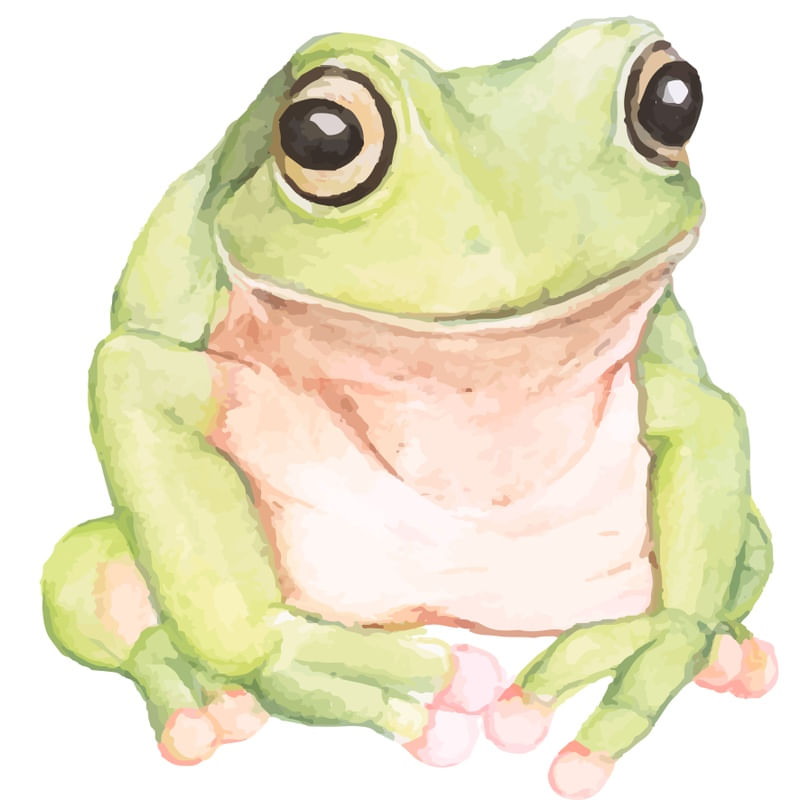 SAPO