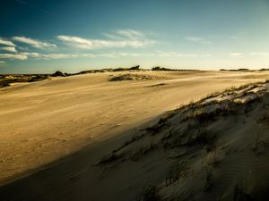 THE DUNE