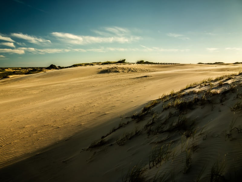 THE DUNE