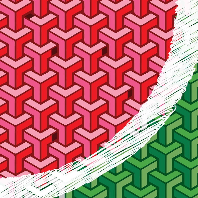 WATERMELON VIBE