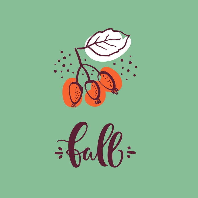 FALL FRUIT