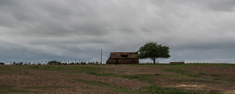 PANORAMA_PAISAGEM_SERTANEJA