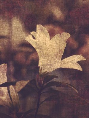 FLOWERING PRINTED