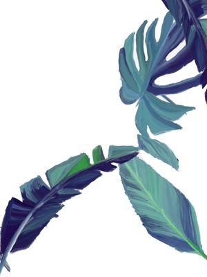 FLMINIMALISTAIS