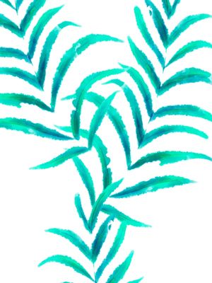 VMINIMALISTA