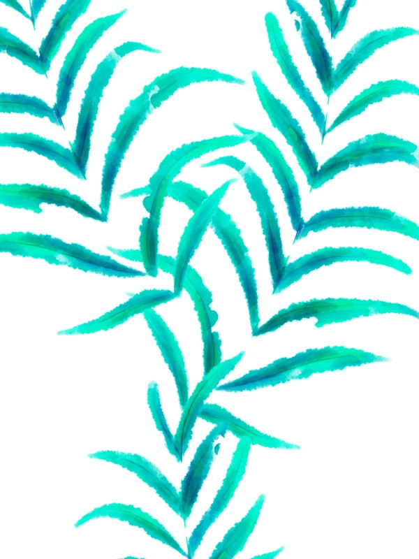 VMINIMALISTA