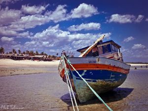 VIDA RE PESCA BARRA GRANDE PIAUÍ