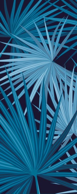 BLUE TROPICAL 1/3