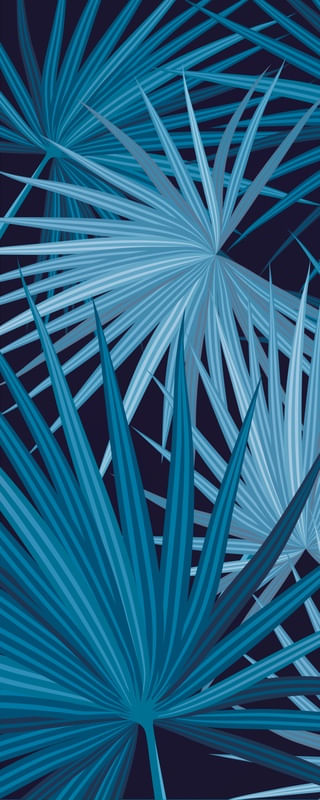 BLUE TROPICAL 1/3