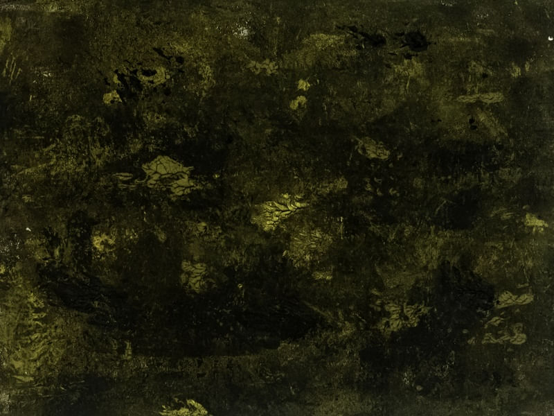 TEXTURA 5